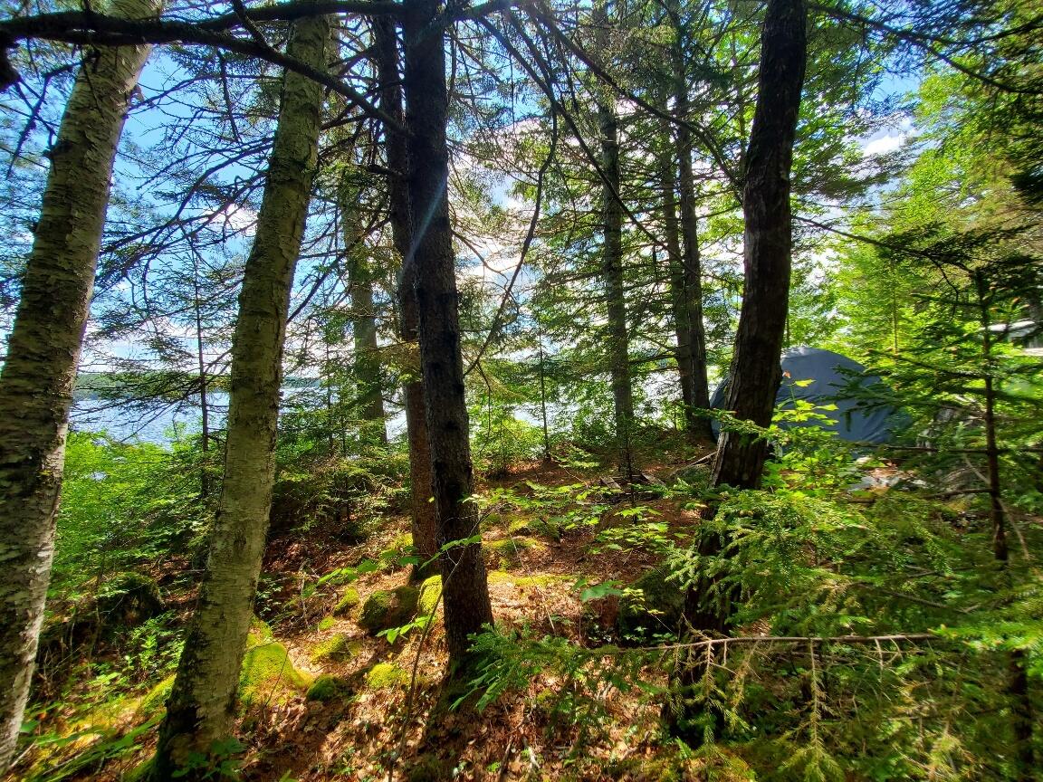 315 Hopkins Pond Road Clifton ME 04428