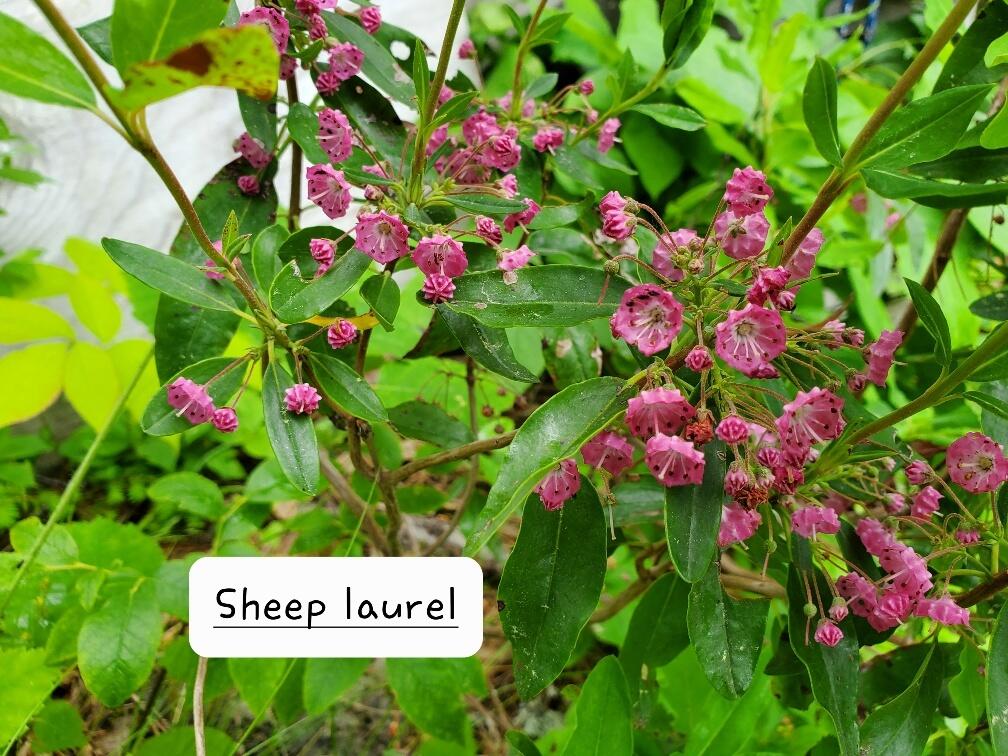 315 Hopkins Pond Road Clifton ME 04428