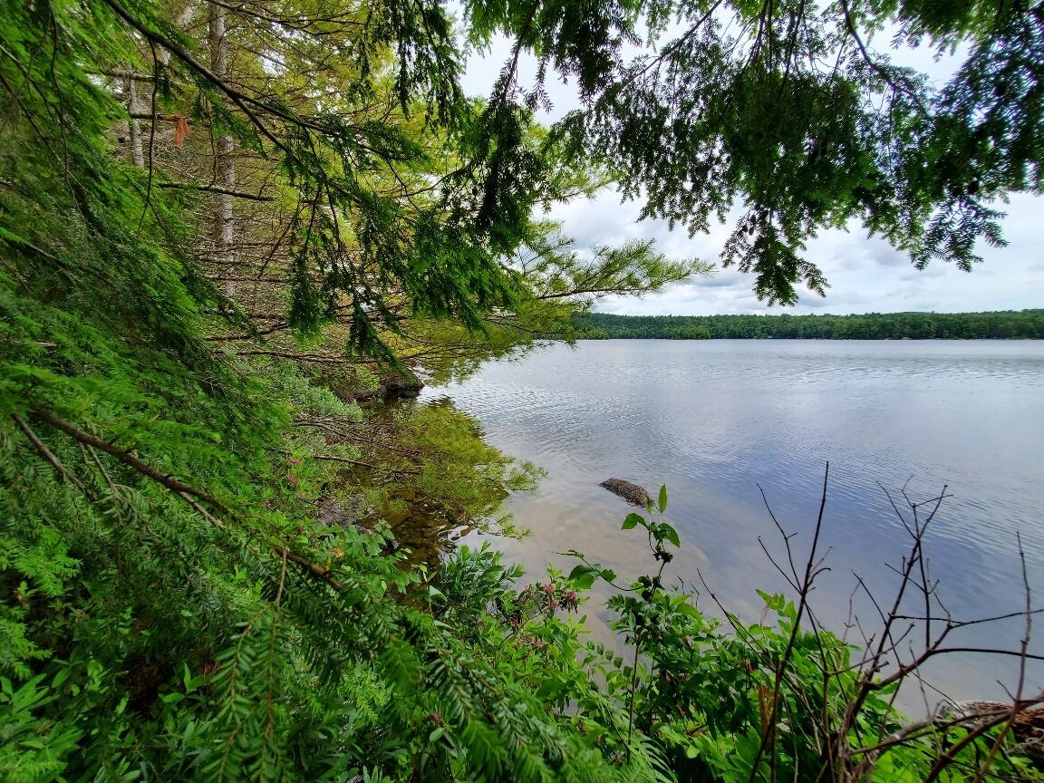 315 Hopkins Pond Road Clifton ME 04428