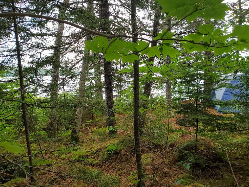 315 Hopkins Pond Road Clifton ME 04428