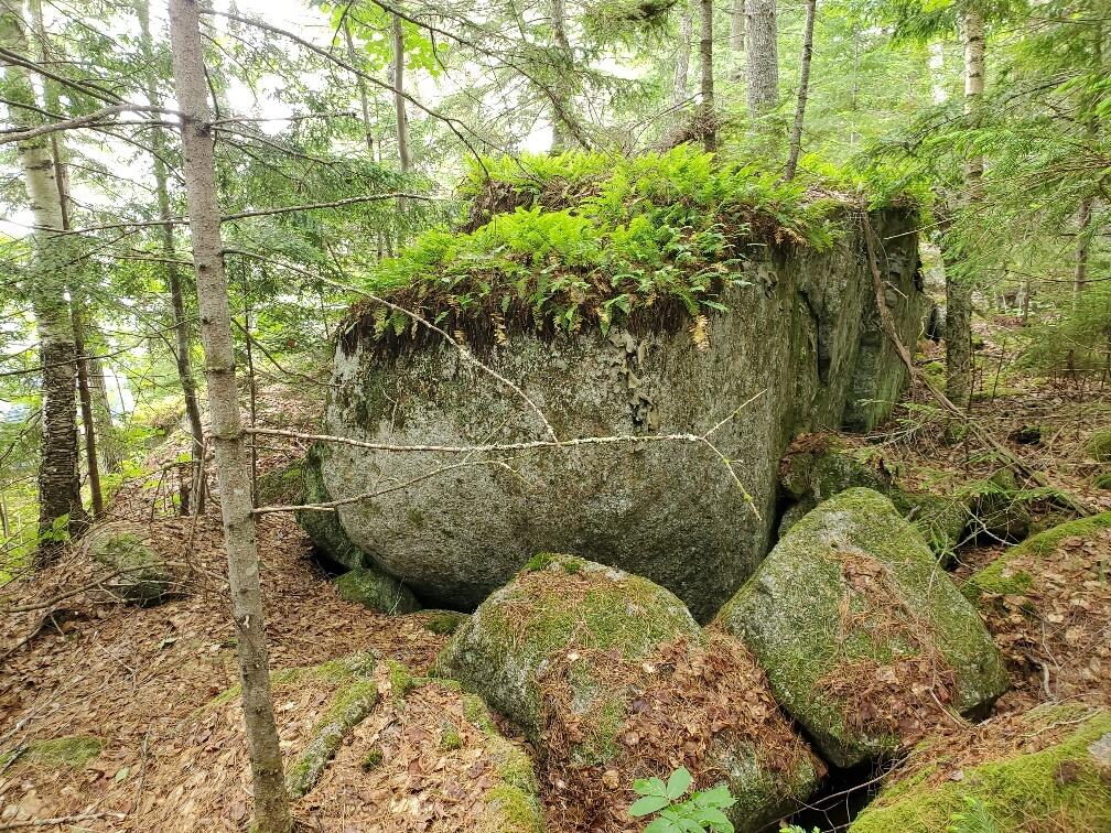 315 Hopkins Pond Road Clifton ME 04428