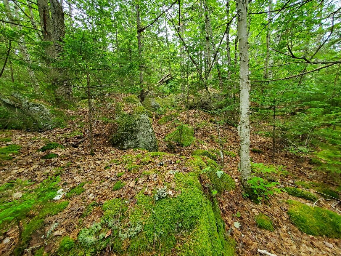 315 Hopkins Pond Road Clifton ME 04428