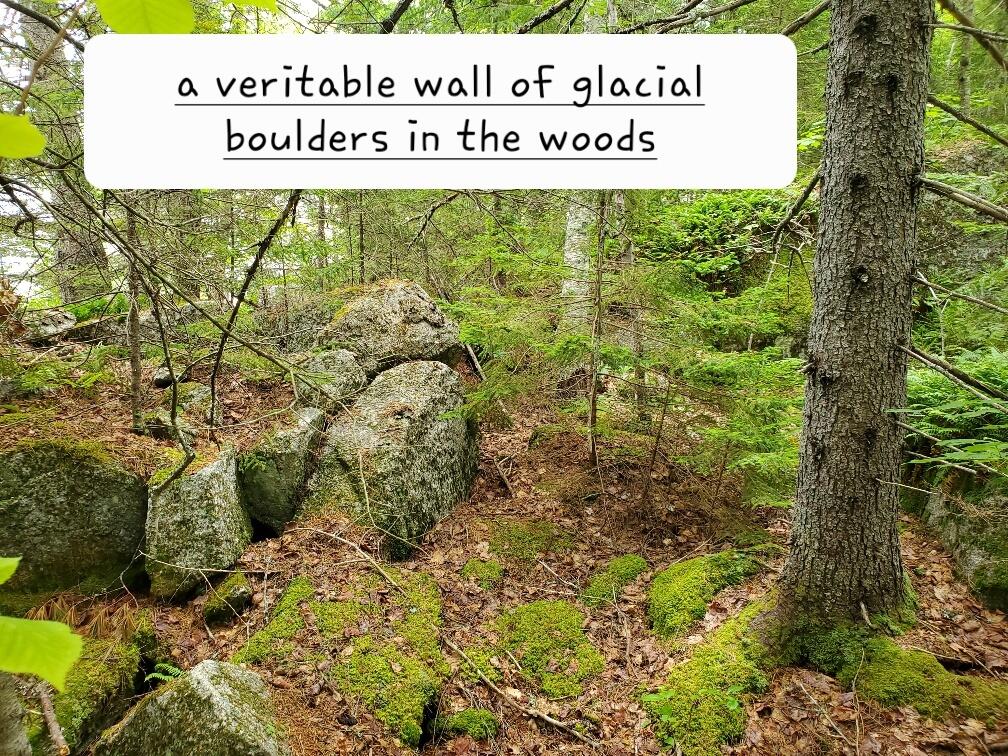 315 Hopkins Pond Road Clifton ME 04428