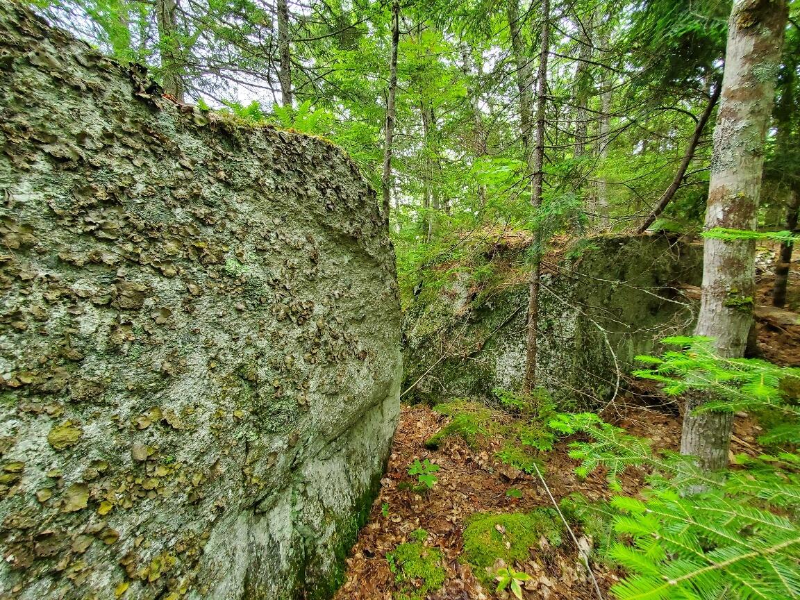 315 Hopkins Pond Road Clifton ME 04428