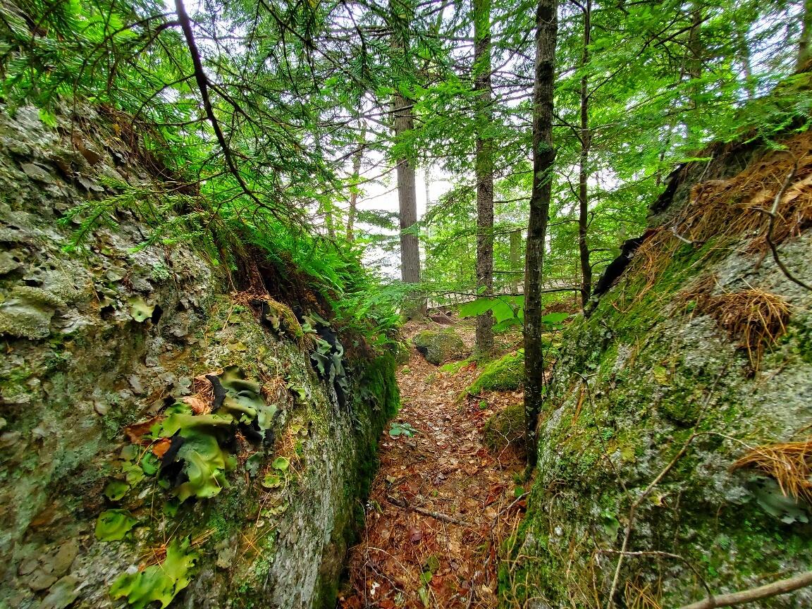 315 Hopkins Pond Road Clifton ME 04428