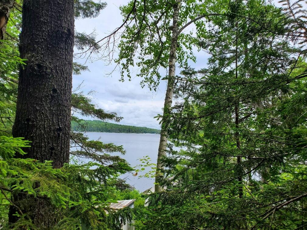 315 Hopkins Pond Road Clifton ME 04428