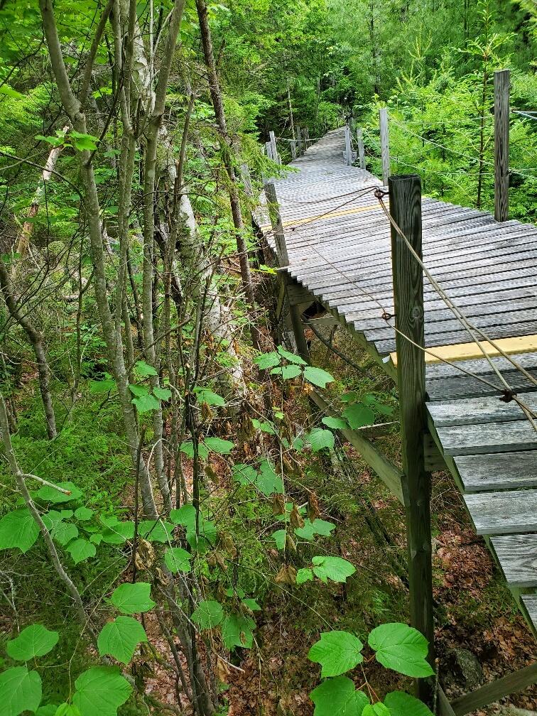 315 Hopkins Pond Road Clifton ME 04428