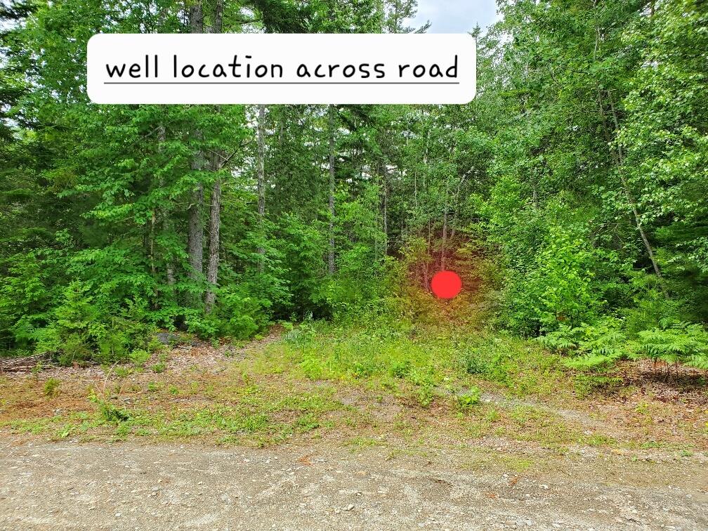 315 Hopkins Pond Road Clifton ME 04428