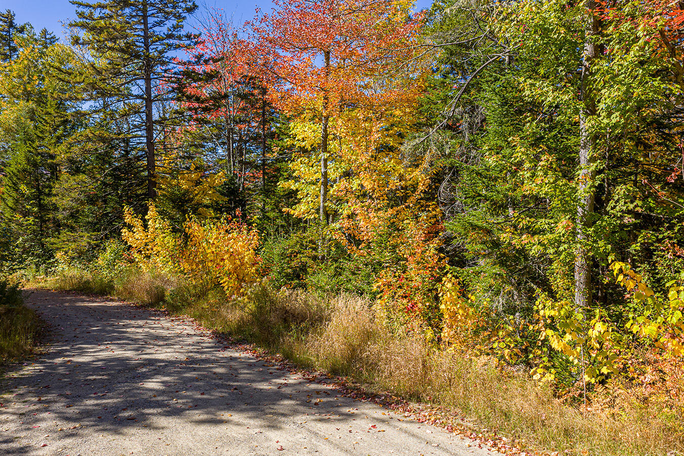 2007 West Street Carrabassett Valley ME 04947