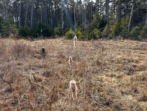37 Yellow Head Road Bristol ME 04554