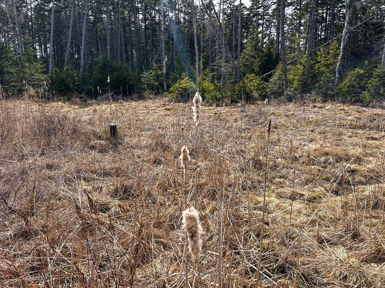 37 Yellow Head Road Bristol ME 04554