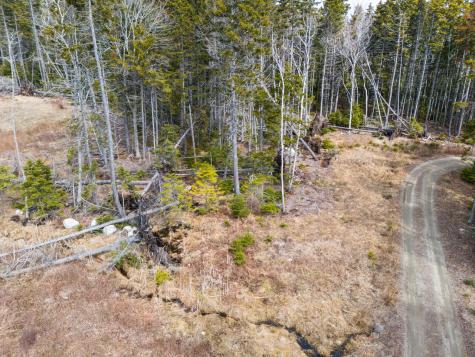 37 Yellow Head Road Bristol ME 04554