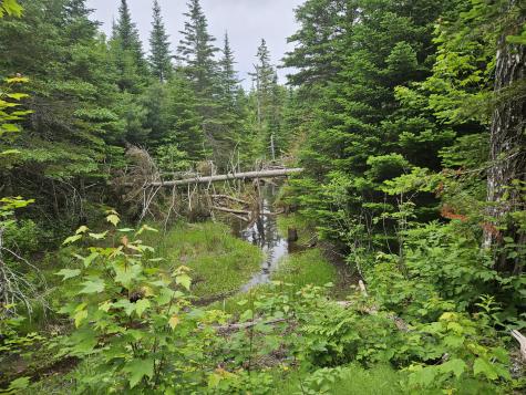 M17 L5&11 Number 7 Road Steuben ME 04680