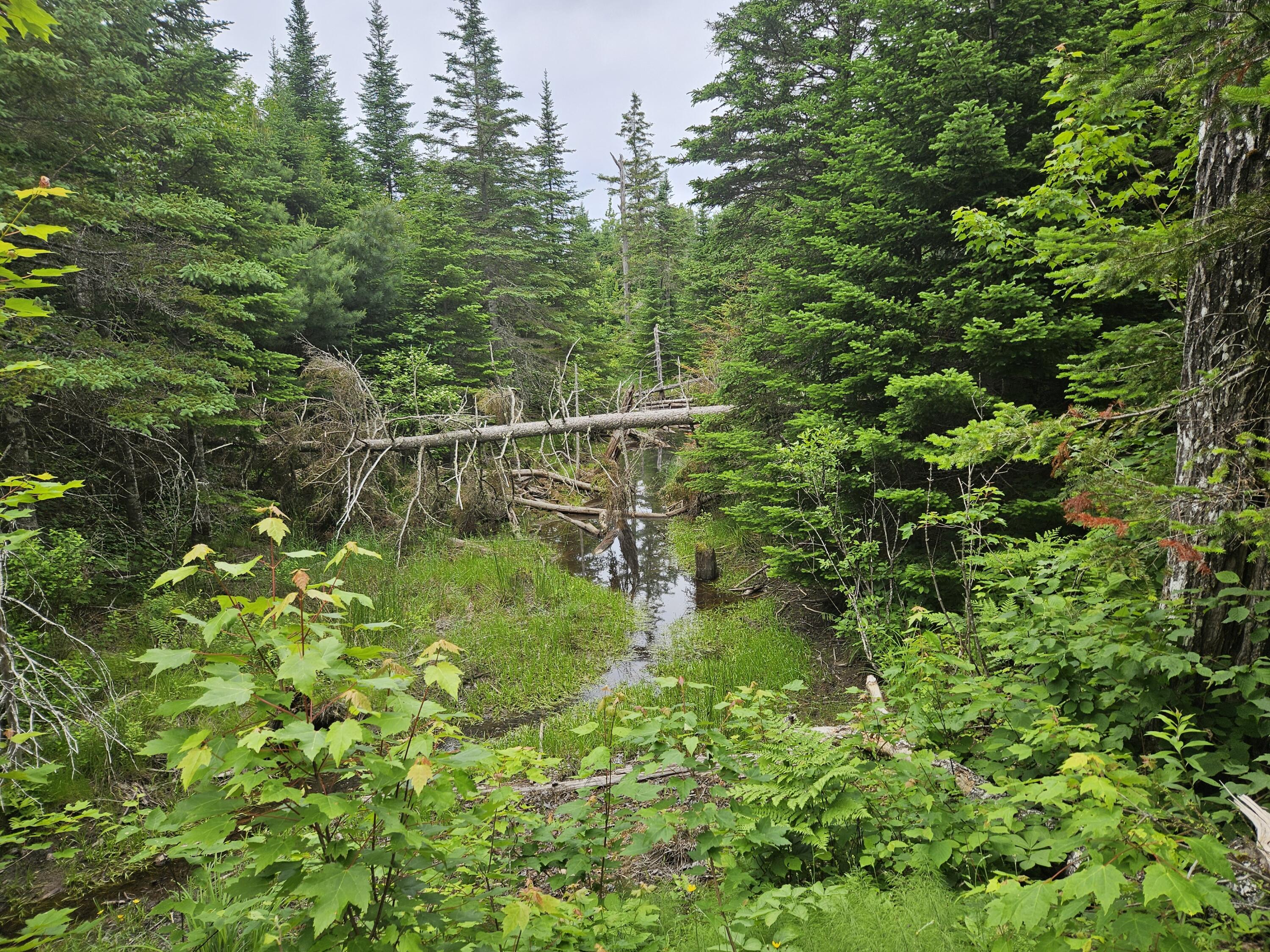 M17 L5&11 Number 7 Road Steuben ME 04680