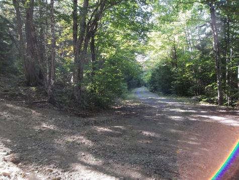 M2 L3 Haywood Road Meddybemps ME 04657