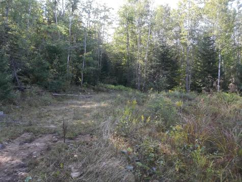 M2 L3 Haywood Road Meddybemps ME 04657