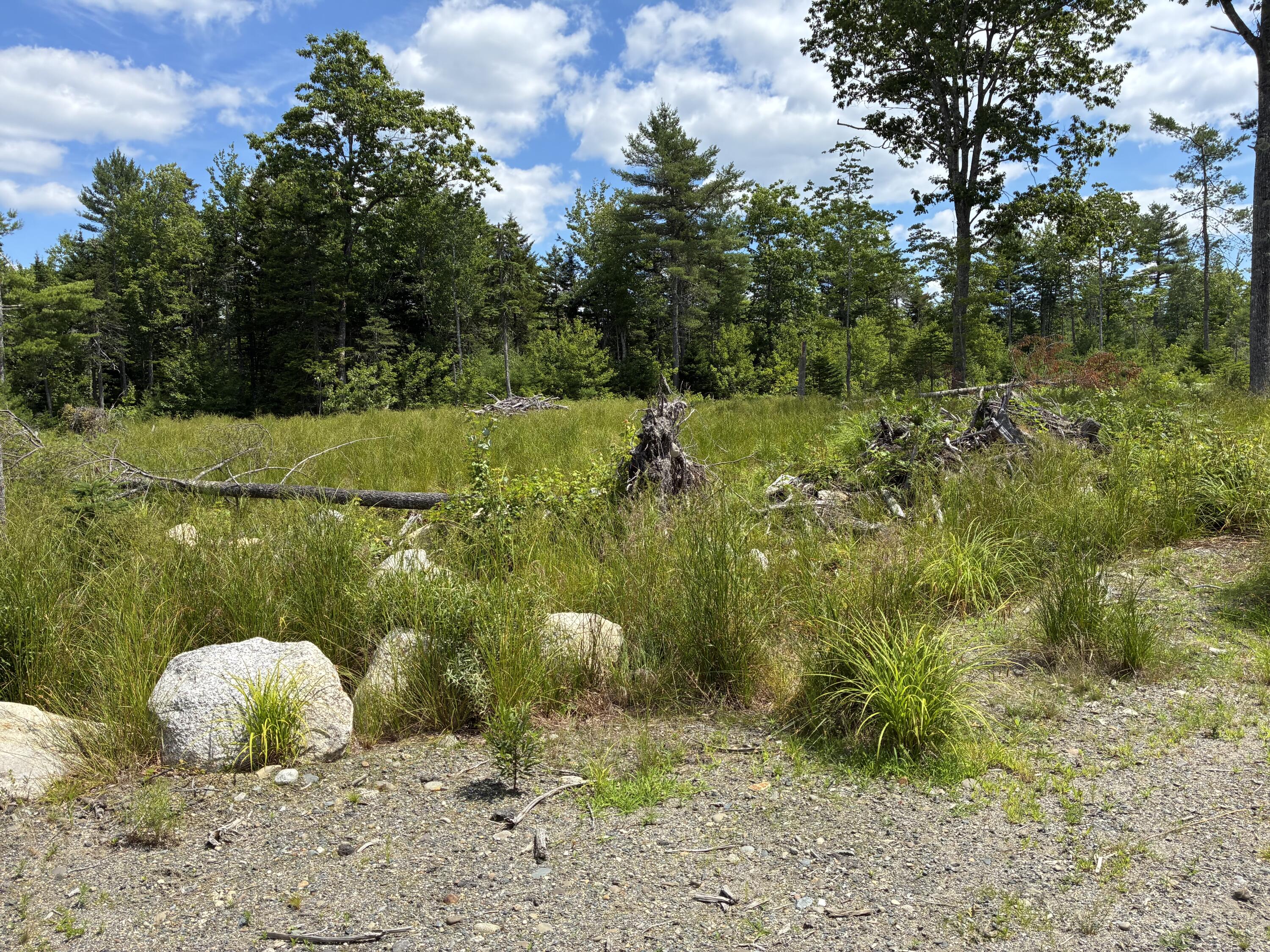 Lot # 18 Granite Rock Circle N Surry ME 04684