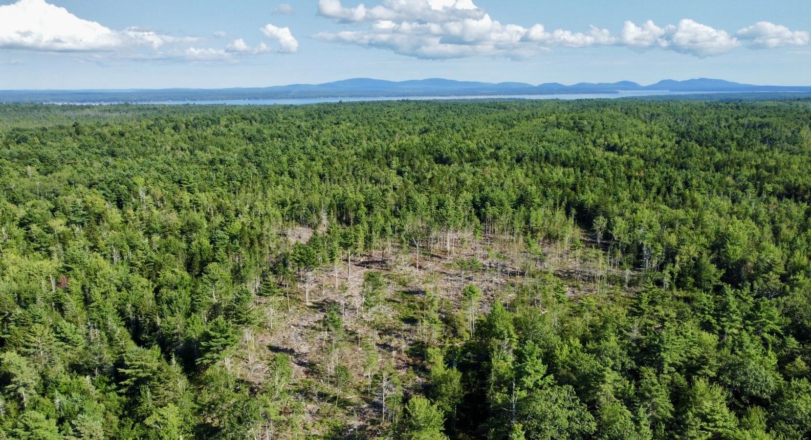 Lot # 18 Granite Rock Circle N Surry ME 04684