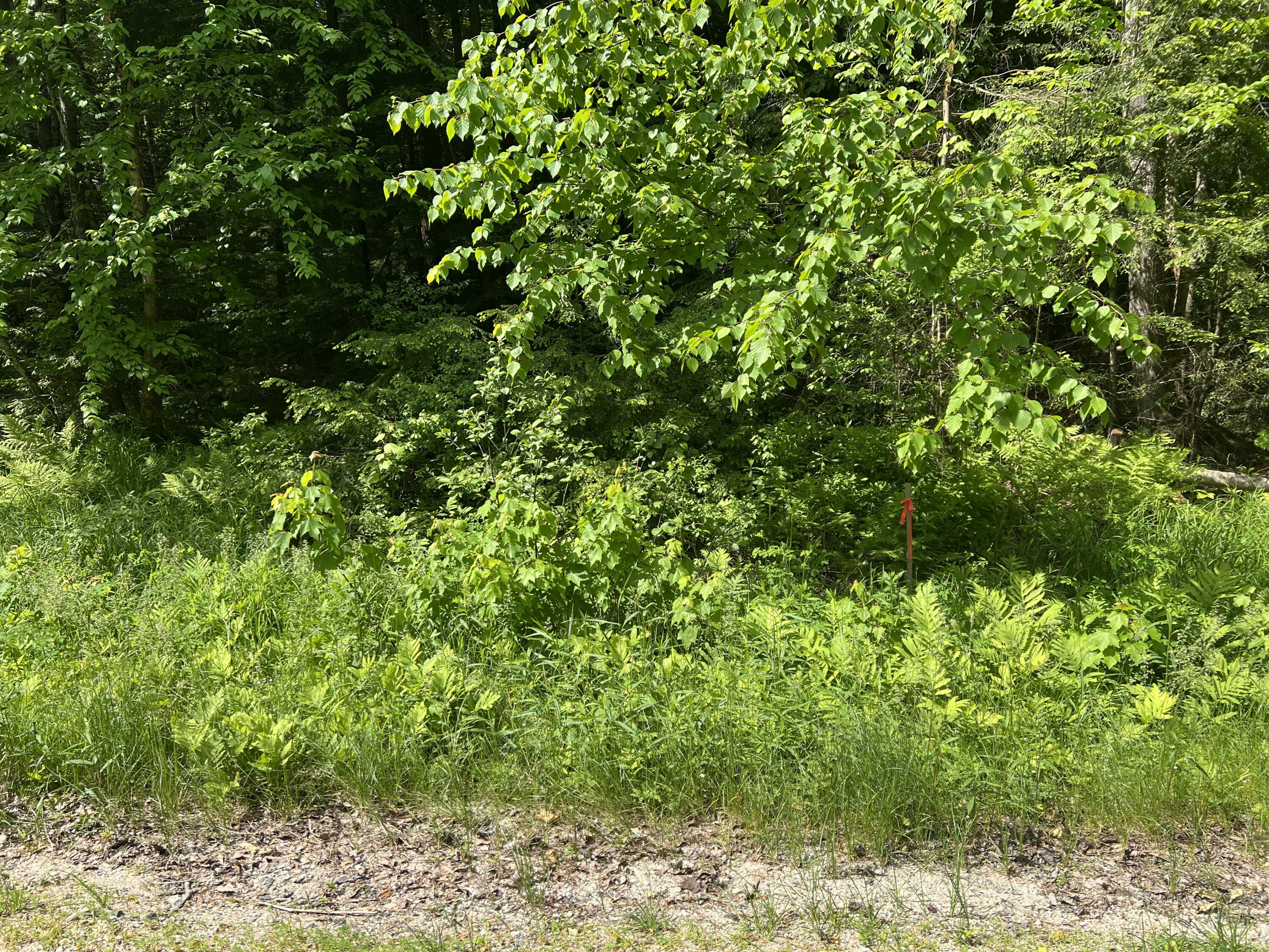 Lot1 Town Farm Road New Gloucester ME 04260