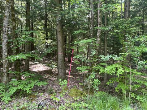 Lot1 Town Farm Road New Gloucester ME 04260