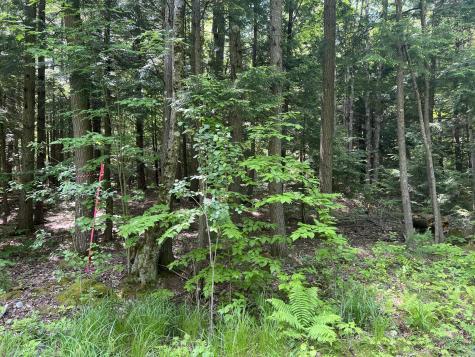 Lot1 Town Farm Road New Gloucester ME 04260