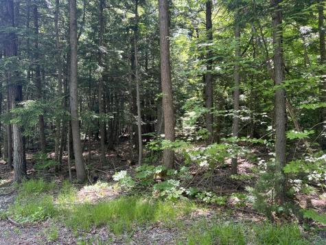 Lot1 Town Farm Road New Gloucester ME 04260