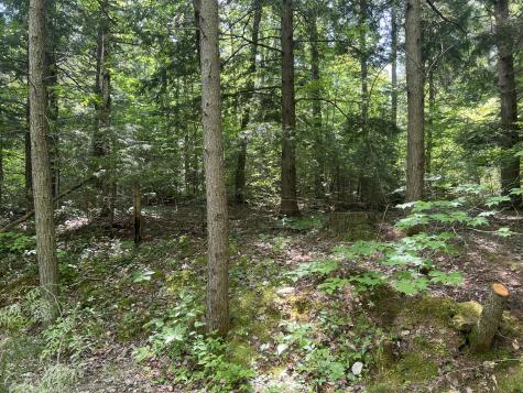 Lot1 Town Farm Road New Gloucester ME 04260