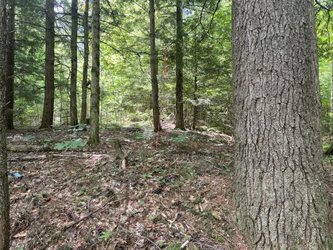 Lot1 Town Farm Road New Gloucester ME 04260