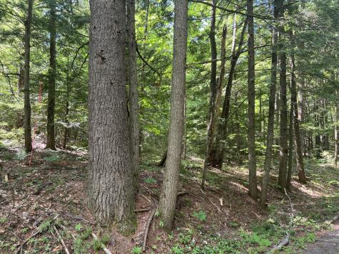 Lot1 Town Farm Road New Gloucester ME 04260