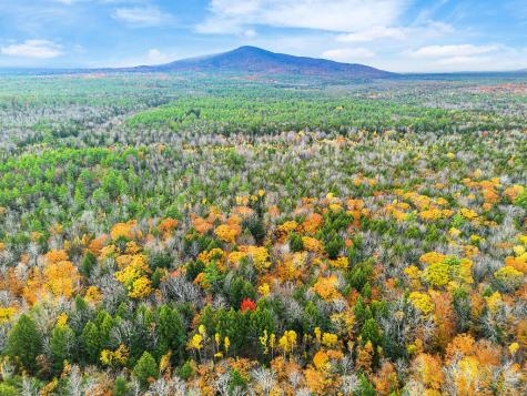 0 South River Lane Parsonsfield ME 04047