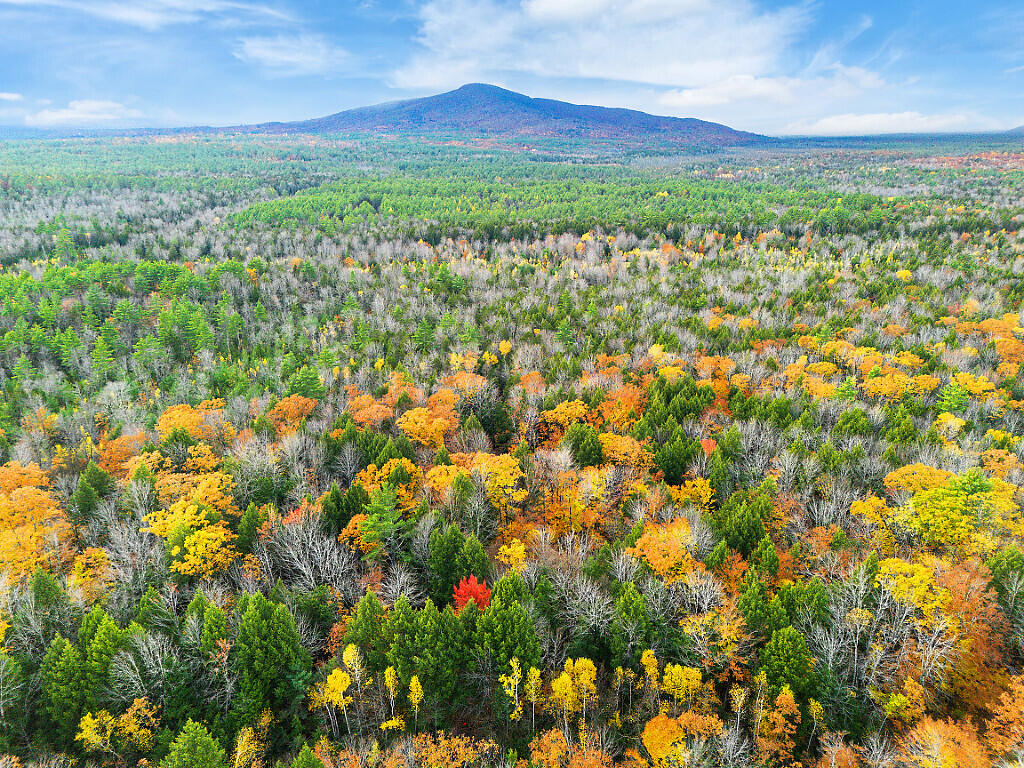 0 South River Lane Parsonsfield ME 04047