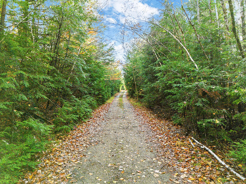 0 South River Lane Parsonsfield ME 04047