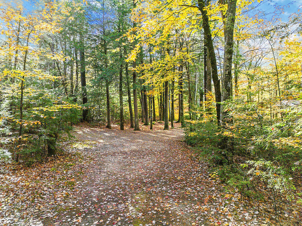 0 South River Lane Parsonsfield ME 04047