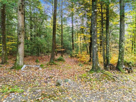 0 South River Lane Parsonsfield ME 04047