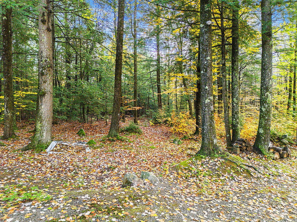 0 South River Lane Parsonsfield ME 04047