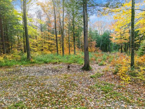 0 South River Lane Parsonsfield ME 04047