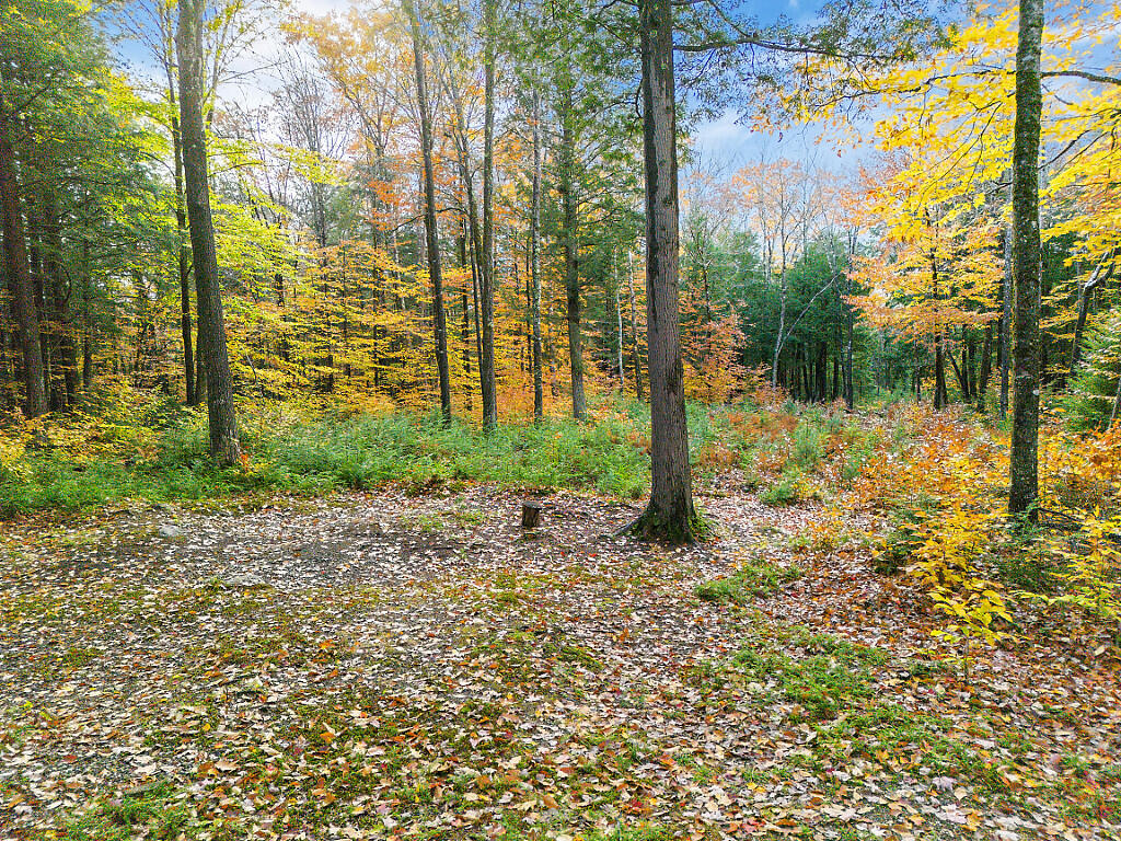 0 South River Lane Parsonsfield ME 04047