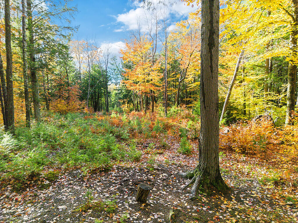 0 South River Lane Parsonsfield ME 04047