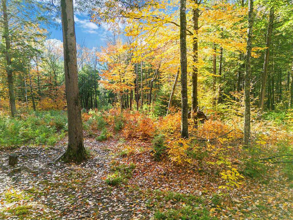 0 South River Lane Parsonsfield ME 04047