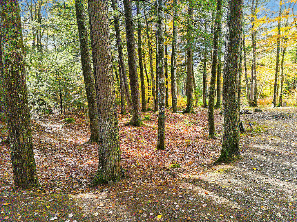 0 South River Lane Parsonsfield ME 04047