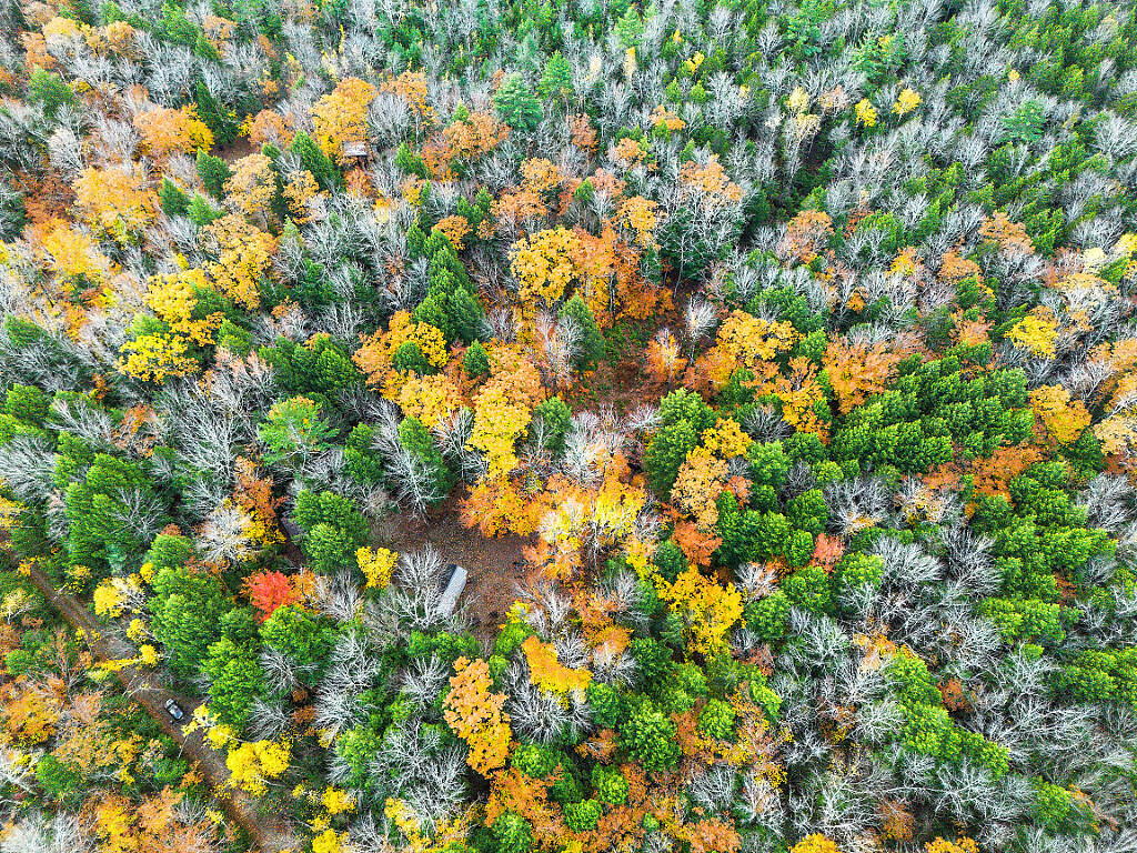 0 South River Lane Parsonsfield ME 04047