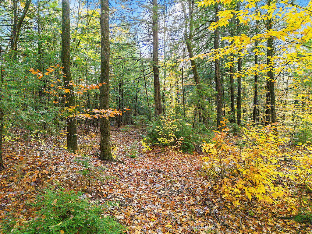 0 South River Lane Parsonsfield ME 04047