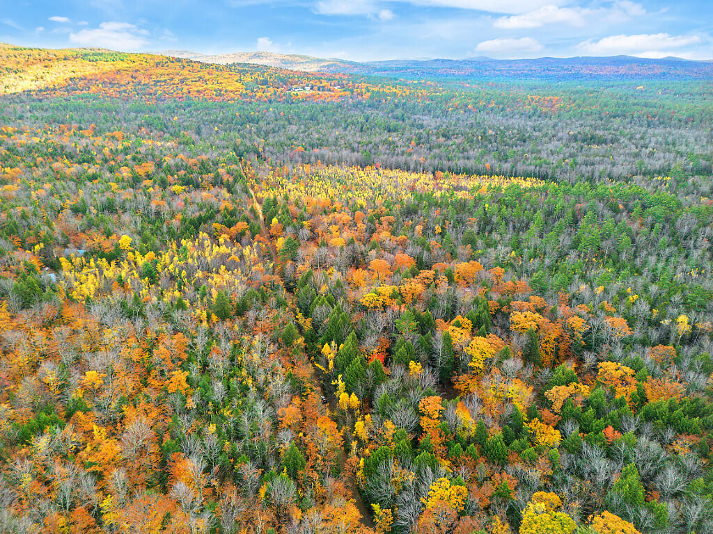 0 South River Lane Parsonsfield ME 04047