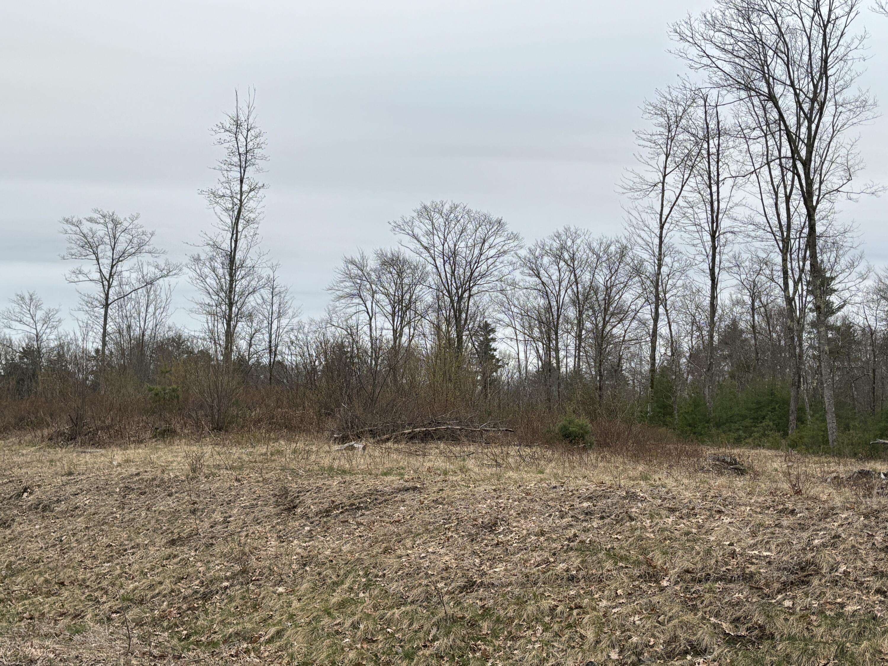 Lot 4 Webber Ridge Lane Wells ME 04090