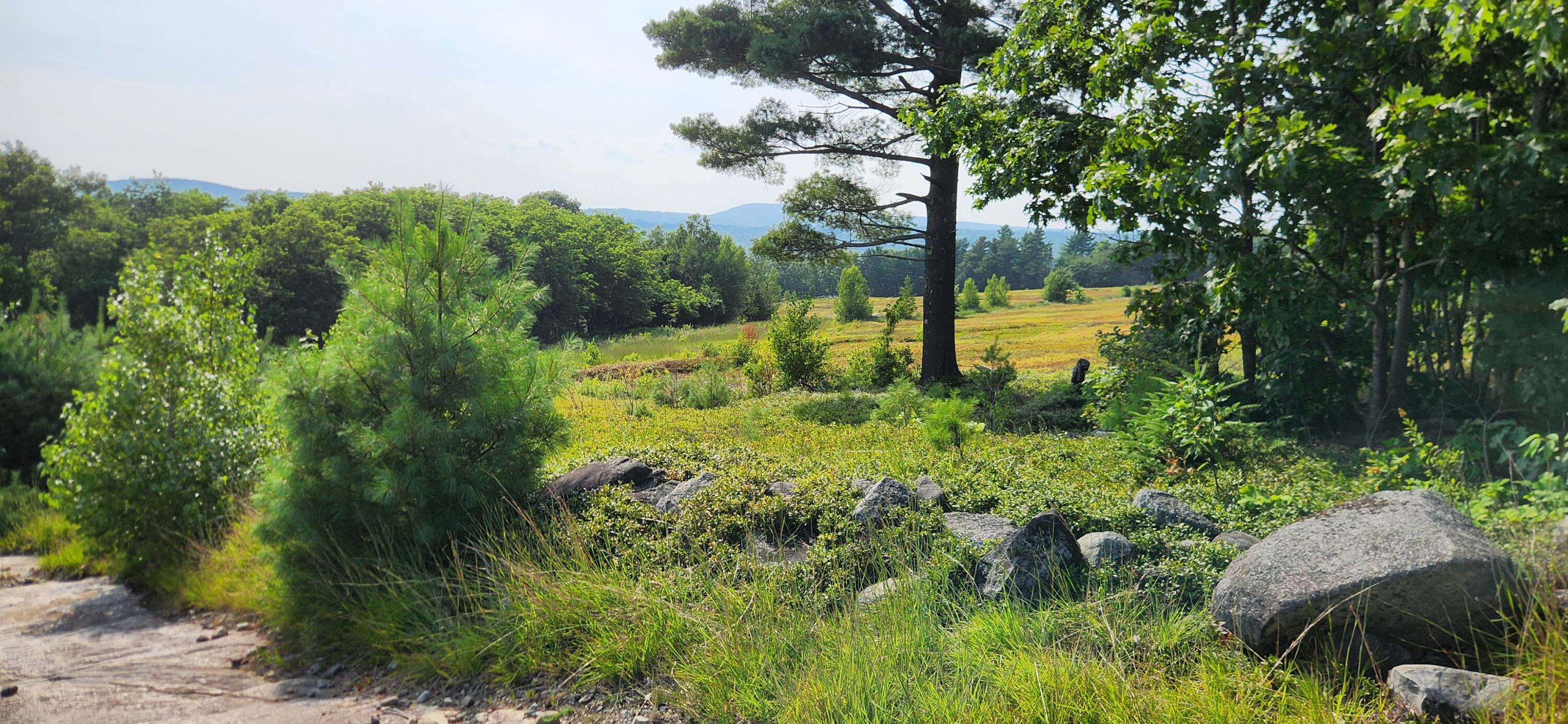 0 Upper Long Pond Road Bucksport ME 04416