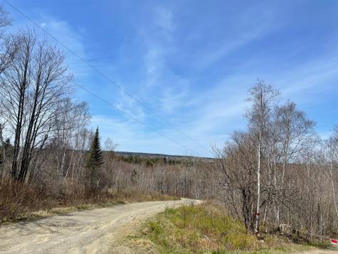 Lot 13 Reef Point Road Addison ME 04606