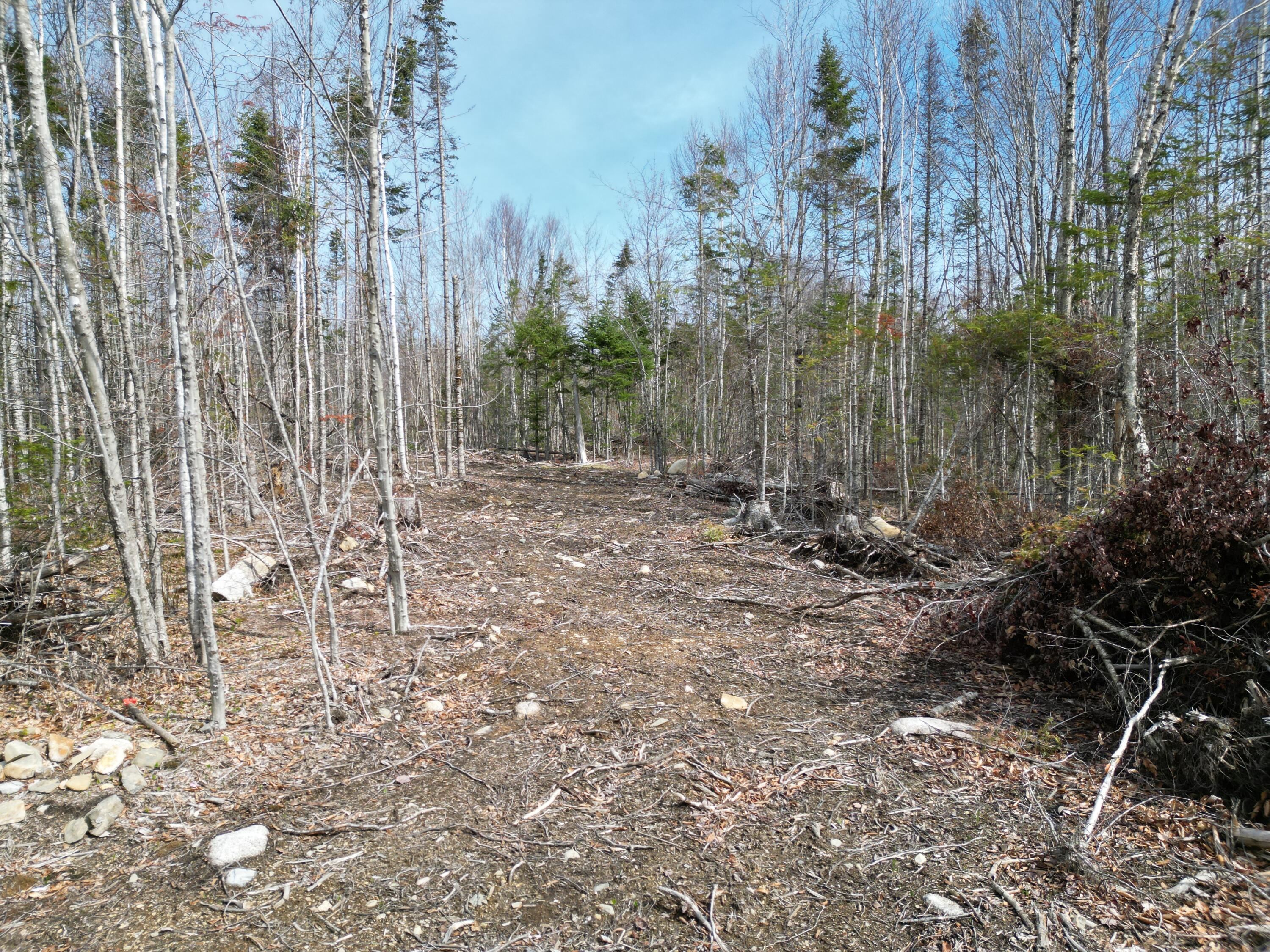 Lot 1 Moores Road Springfield ME 04487