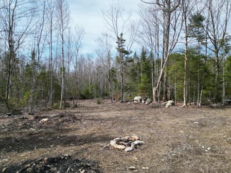 Lot 1 Moores Road Springfield ME 04487