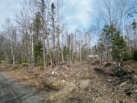Lot 1 Moores Road Springfield ME 04487