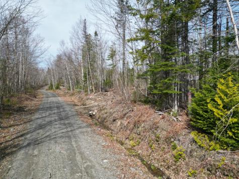 Lot 1 Moores Road Springfield ME 04487